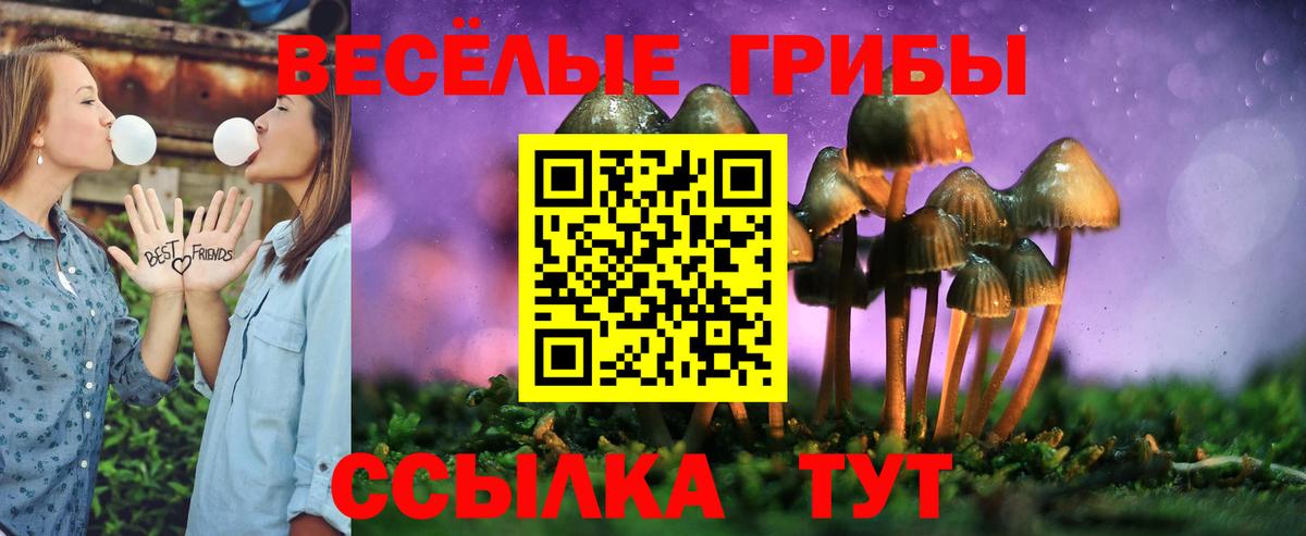 Псилоцибиновые грибы Cubensis  Вход с VPN  Среднеуральск 