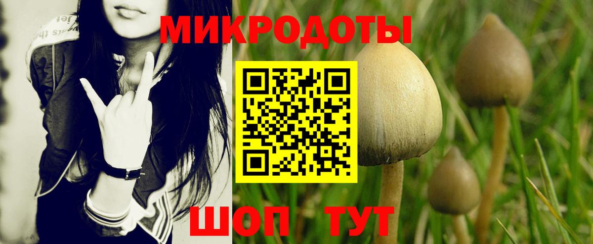 Псилоцибиновые грибы GOLDEN TEACHER Среднеуральск